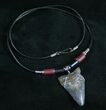 Megalodon Tooth Necklace - #6816-1